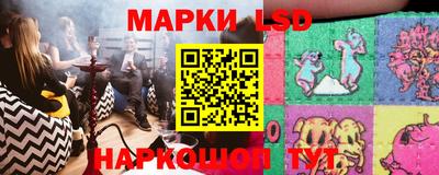 гидропоника Будённовск