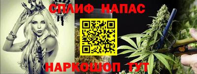 гидропоника Будённовск
