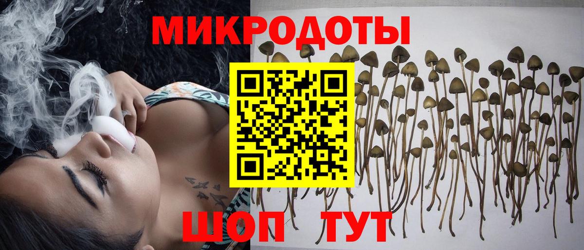 Североуральск  Галлюциногенные грибы Psilocybe  Вход с VPN  Псилоцибиновые грибы ЛСД 
